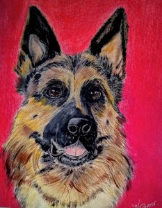 The Noble German Shepherd Dog