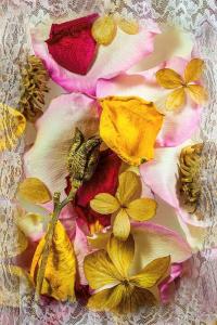 118 william unger rose petals with lace