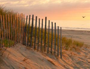 029 bob dowd daybreak on the dunes