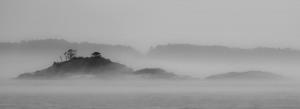 095 mark schwartz foggy island