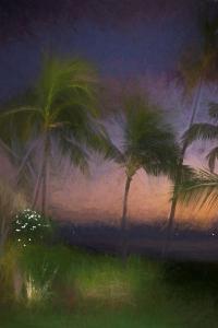 081 terry pilitzer A Night in Honolulu