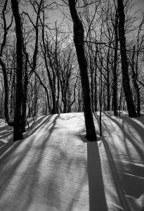 218 louis rissland snow shadow