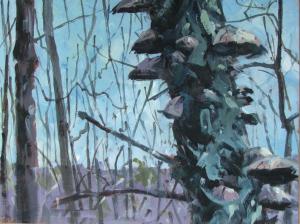 052 christopher mac kinnon painting winter mushrooms